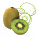 Actinidia Chinensis (Kiwi) Fruit Extract (экстракт киви)