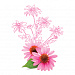 Echinacea extract purpurea (Flores) (Экстракт цветов эхинацеи)