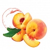 Peach Kernel Oil (масло персика)
