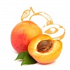 Prunus Armeniaca Seed Oil (масло из косточек абрикоса) 