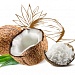 Cocos Nucifera (Coconut) extract (экстракт кокоса)